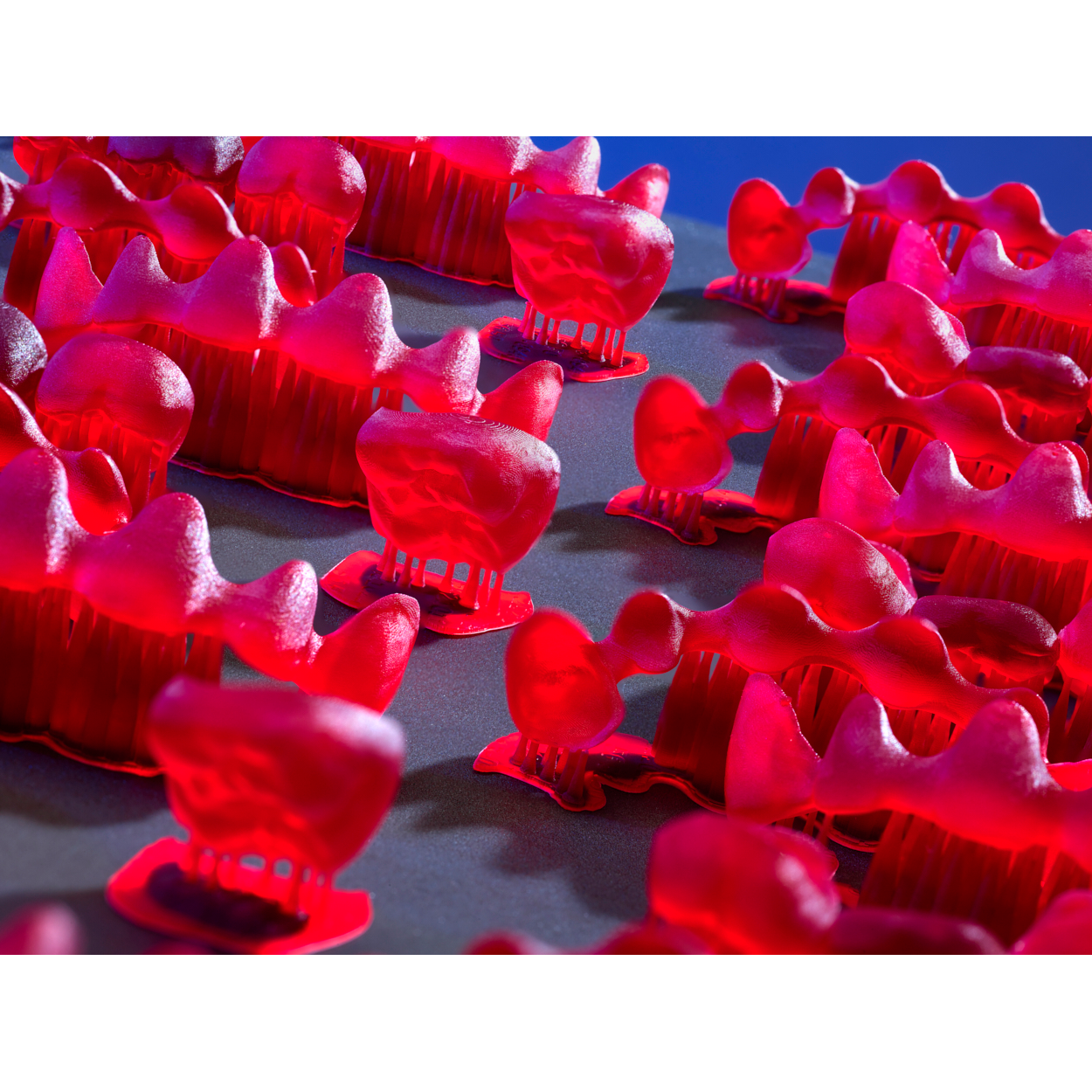 VeriCast-OS-Red-Blue-Bkg