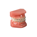 Set bracketi metalici Agility Twin